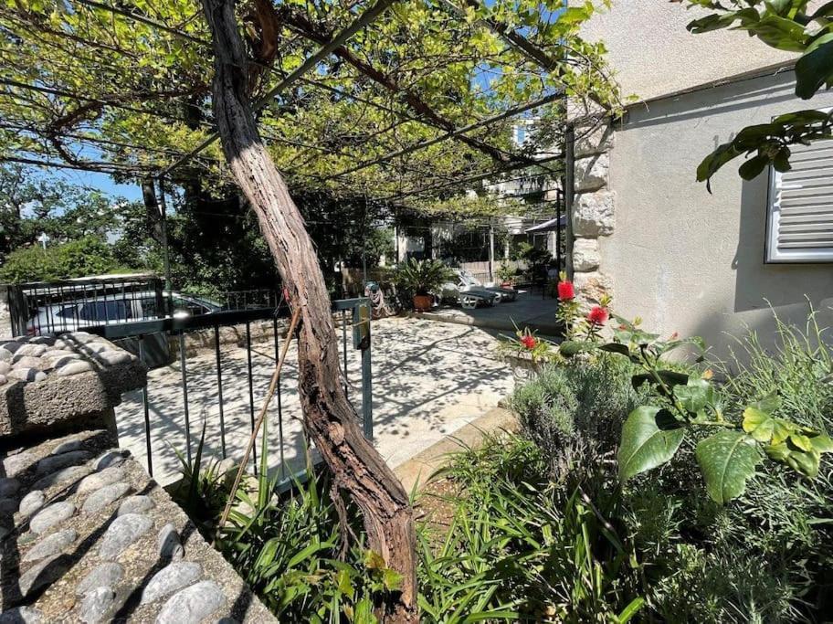 Apartment Nono Moj Dubrovnik Bagian luar foto